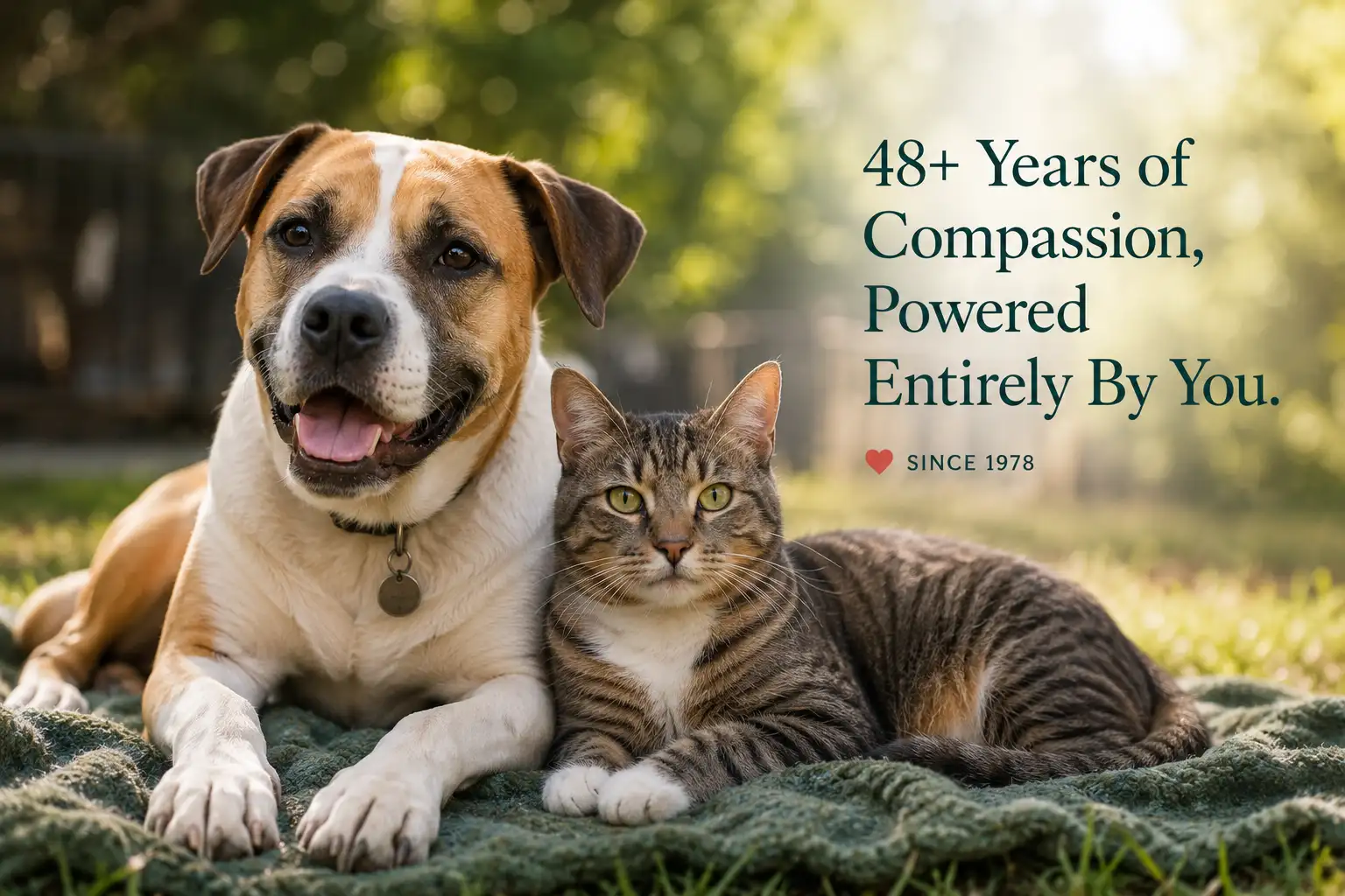 Shelter volunteers with animals